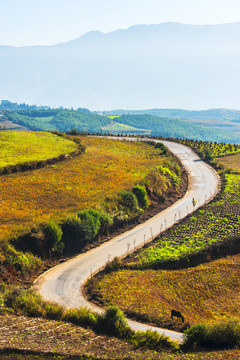 云南红土地田园公路