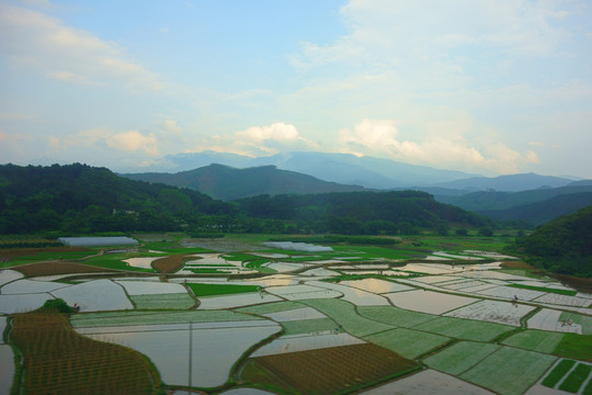 田园风光