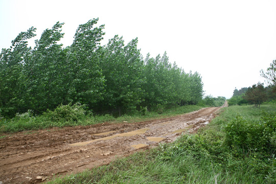 泥泞土路