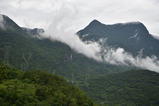 高山晨雾