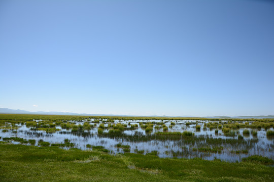 草原湖水