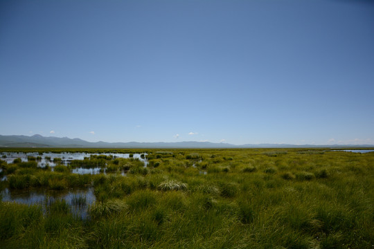 草原湖水