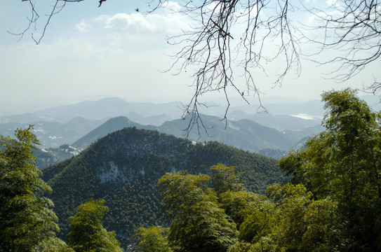 莫干山竹海