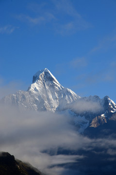 四姑娘山