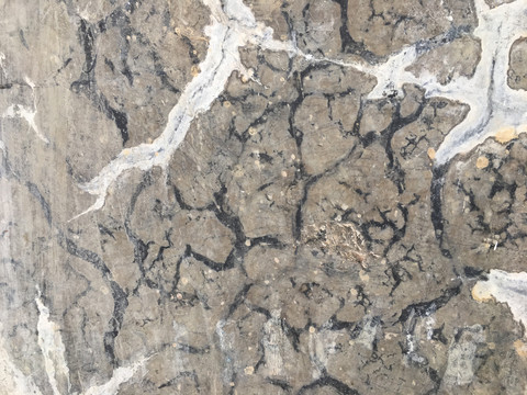 瓷磚地板紋理