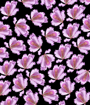 數(shù)碼印花