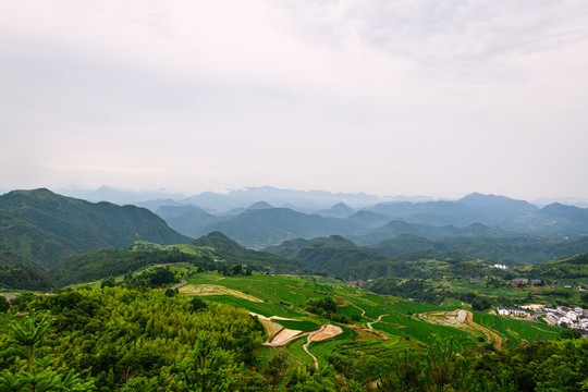 高山梯田