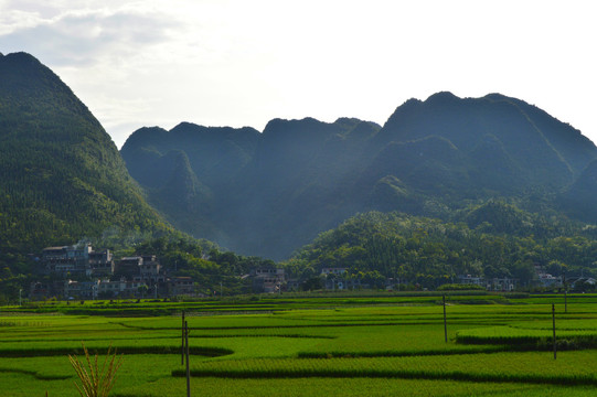 兴义万峰林的田野