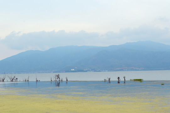 大理洱海边景色