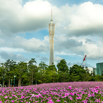 广州地标建筑广州塔