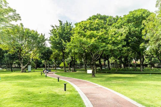 广州二沙岛发展公园景观