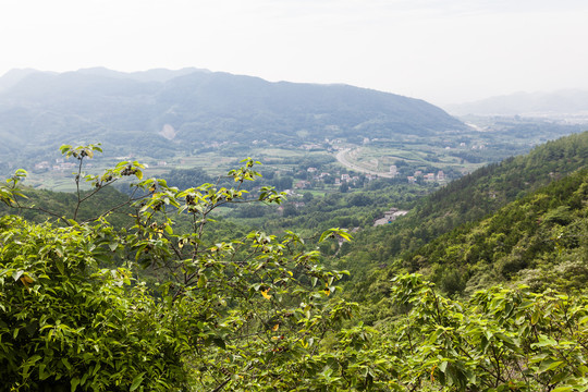 定军山历史文化名山