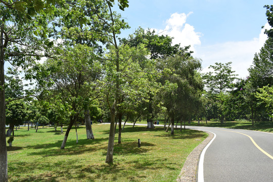 松山湖骑行车道摄影