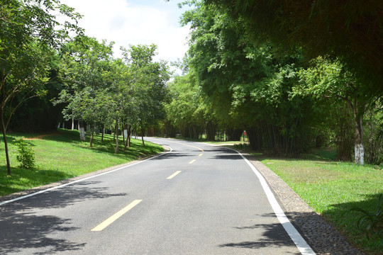 东莞松山湖风景区车道