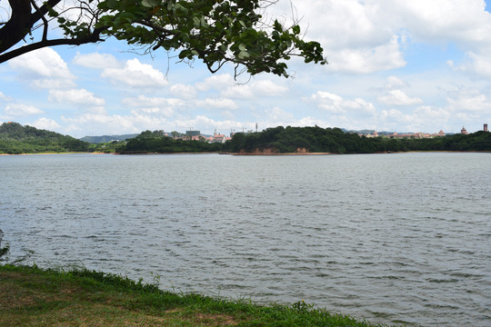 松山湖湖畔风景