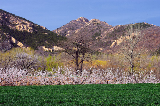 山野风景