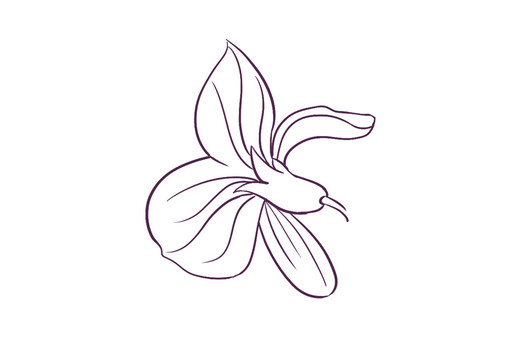 原创手绘勾线植物花卉花朵线稿