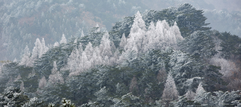 冰雪狮子峰