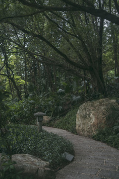 广州市天河区珠江公园