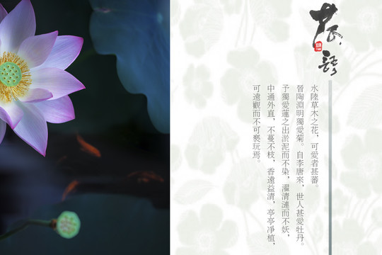 愛(ài)蓮說(shuō)