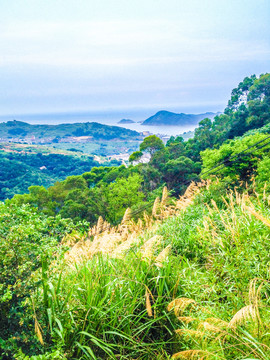 福建宁德太姥山