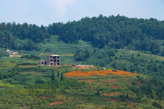 云南高山田园风光