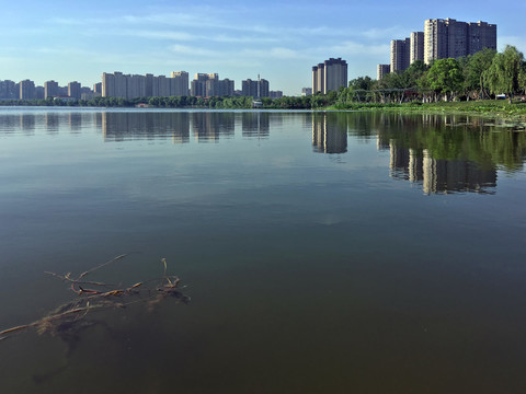 龙池湖边平静的水面