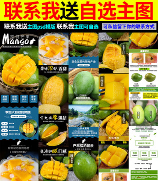 凱特芒果詳情頁