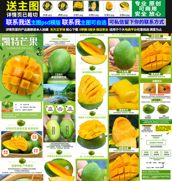 凱特芒詳情頁(yè)