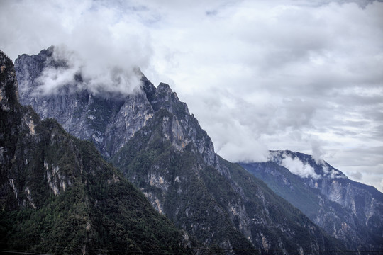 高山云雾