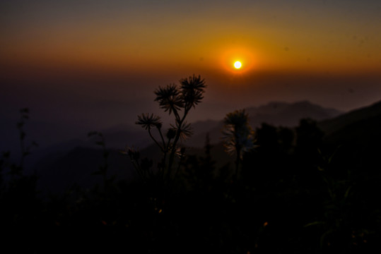 高山夕阳水墨剪影