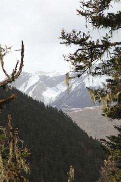 山中的雪山