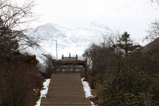 山上的台阶