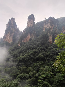 山峰与植被