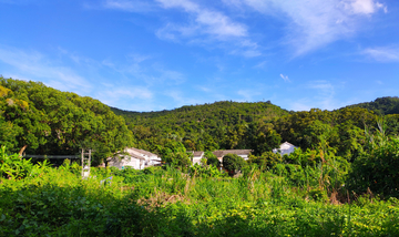 山里人家