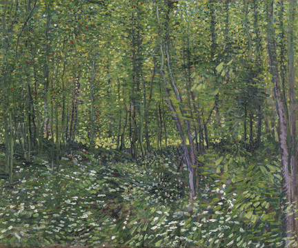 文森特·威廉·梵高树木和林下森林