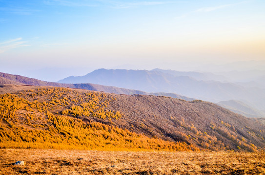 高山秋景