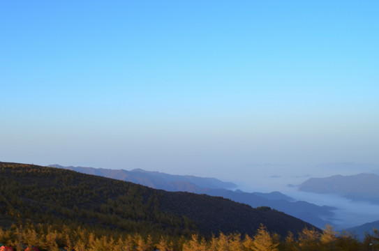 高山秋景