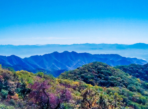 海坨