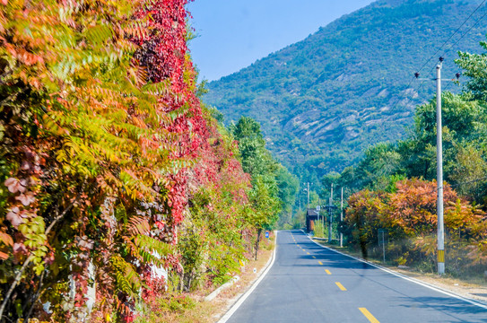 秋季公路