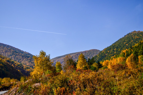 高山秋景