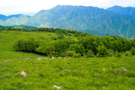 高山