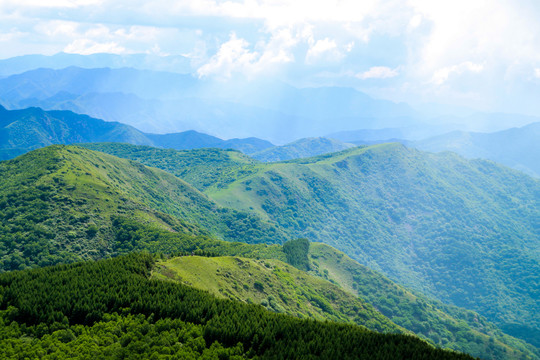 高山