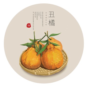 丑橘插畫
