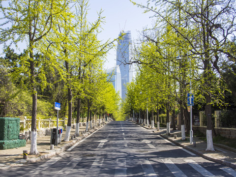 青岛街景