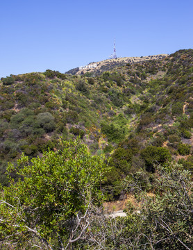 好莱坞山鲁尼恩峡谷公园