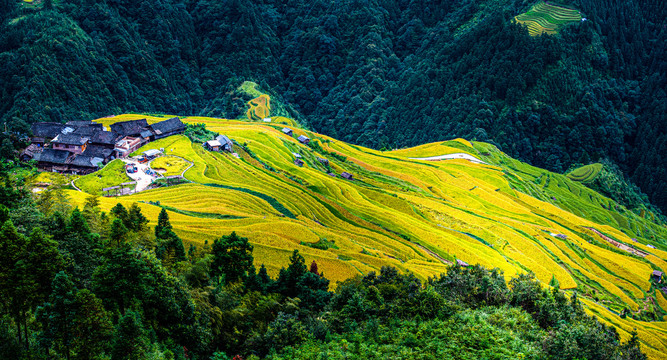 加榜梯田