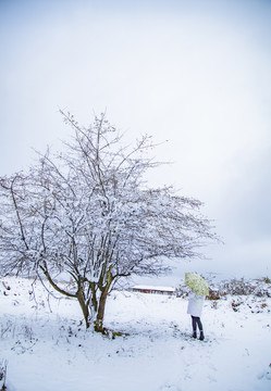 雪中人