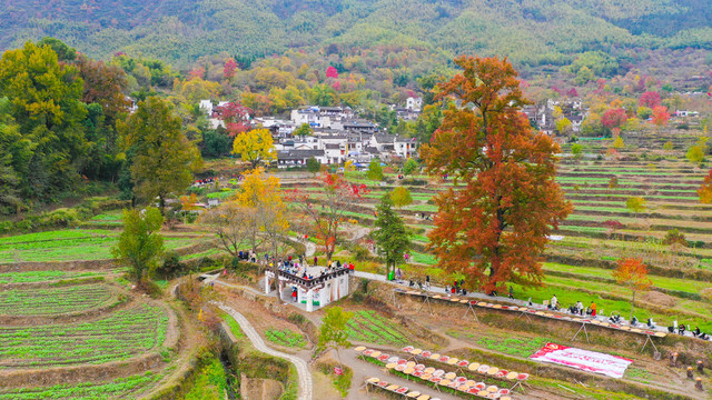 塔川秋天