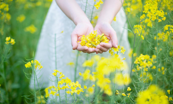 手捧油菜花